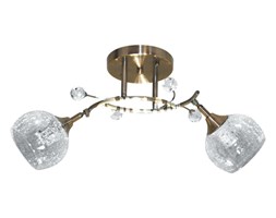 Lampa przysufitowa GORDON W-A 26004/2