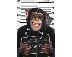 The Chimp Małpa w Więzieniu - plakat