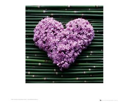 Serce - Madalene's Hearts - reprodukcja