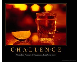 Wyzwanie - When Life Presents A Challenge... Take Your Shot - plakat motywacyjny