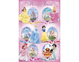 Disney Princess Księżniczki i ich Zamki - plakat