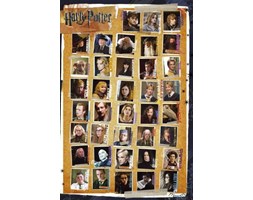 Harry Potter 7 Characters - plakat