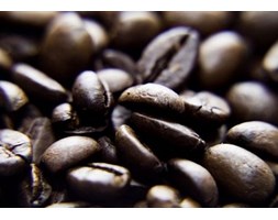 Coffee bean - fototapeta