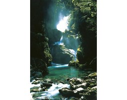 Nowa Zelandia Wodospad w Lesie - plakat