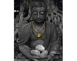 Kamienny Budda - Stone Buddha - plakat