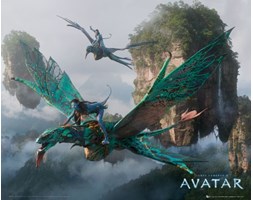 Avatar Lot - plakat