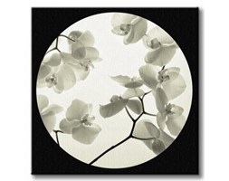 Orchid I - Obraz na płótnie