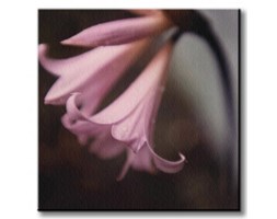 Pink Flower - Obraz na płótnie