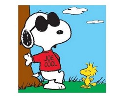 Snoopy Joe Cool - reprodukcja