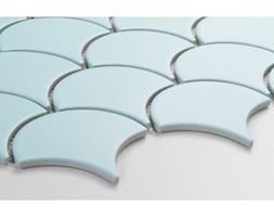 Flabellum light blue, mat