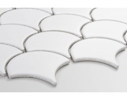 Flabellum white, mat