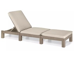 Allibert Leżak Daytona, kolor cappuccino, 221623