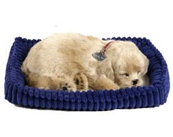 Perfect Petzzz Piesek Golden Retriever 96118