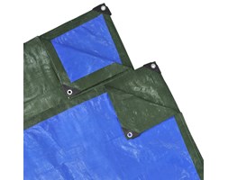 vidaXL Plandeka PE 10 x 6 m 210 gsm zielono/niebieska