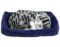 Perfect Petzzz Pręgowany kot 92561
