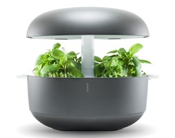 Szary inteligentny ogródek domowy Plantui 6 Smart Garden Grey