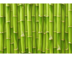 Dywan winylowy Bamboo, 52x75 cm