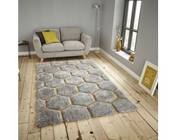 Szary dywan Think Rugs Noble House 120x170 cm