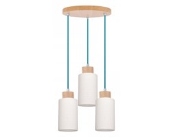 Spot light lampa wisząca Bosco 1713560 RABAT -15% w koszyku
