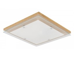 Spot light plafon Finn 4024070 RABAT -15% w koszyku