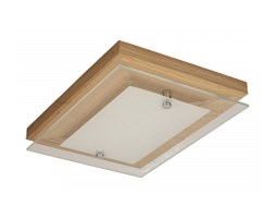 Spot light plafon Finn 4022174 RABAT -15% w koszyku