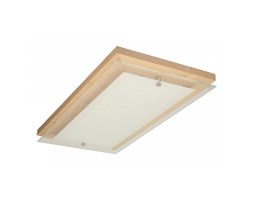 Spot light plafon Finn 4022160 RABAT -15% w koszyku