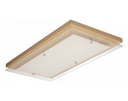Spot light plafon Finn 4032974 RABAT -15% w koszyku