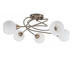 Spot light plafon Pavia 8270511