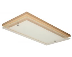Spot light plafon Finn 4032960 RABAT -15% w koszyku