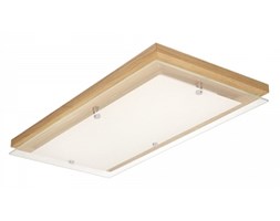 Spot light plafon Finn 4032970 RABAT -15% w koszyku
