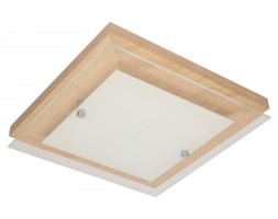 Spot light plafon Finn 4024060 RABAT -15% w koszyku