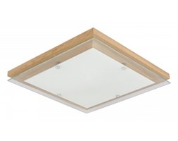 Spot light plafon Finn 4024074 RABAT -15% w koszyku