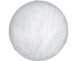 Spot light plafon Nature 4015102B