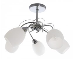 Spot light plafon Pisa 8280528 RABAT -15% w koszyku