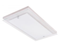 Spot light plafon Finn 4032932 RABAT -15% w koszyku