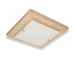 Spot light plafon Finn 4022960 RABAT -15% w koszyku