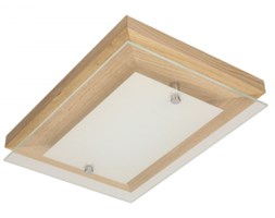 Spot light plafon Finn 4022170 RABAT -15% w koszyku