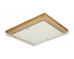 Spot light plafon Finn 4022974 RABAT -15% w koszyku
