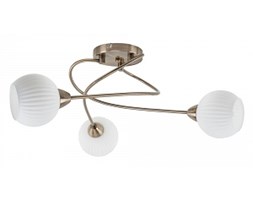 Spot light plafon Pavia 8270311
