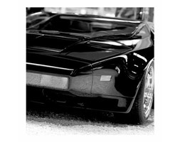 Czarna bestia (Sport car) - reprodukcja