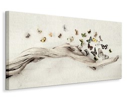 Drift of Butterflies - Obraz na płótnie
