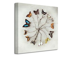 Butterfly Harmony - Obraz na płótnie