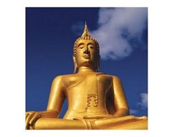 Złoty Budda - reprodukcja