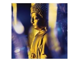 Niebieski Budda - reprodukcja