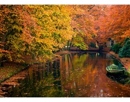 Jezioro w lesie jesienią - fototapeta