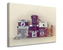 Camera Collection - Obraz na płótnie