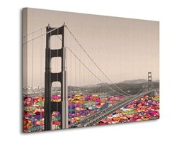 San Francisco Waters - Obraz na płótnie