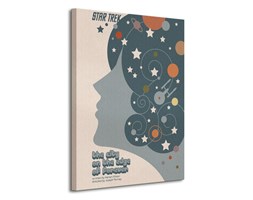 Star Trek (The City On The Edge Of Forever) - Obraz na płótnie
