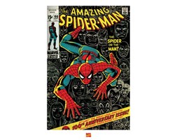 Spider-man - reprodukcja