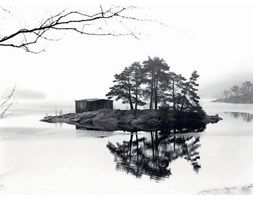 Samotny Dom - Wyspa - reprodukcja